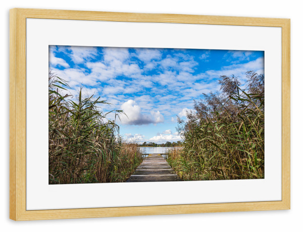 Poster mit Rahmen kiefer "Krakower See mit Schilf und Steg" artboxONE - Natur,Reise