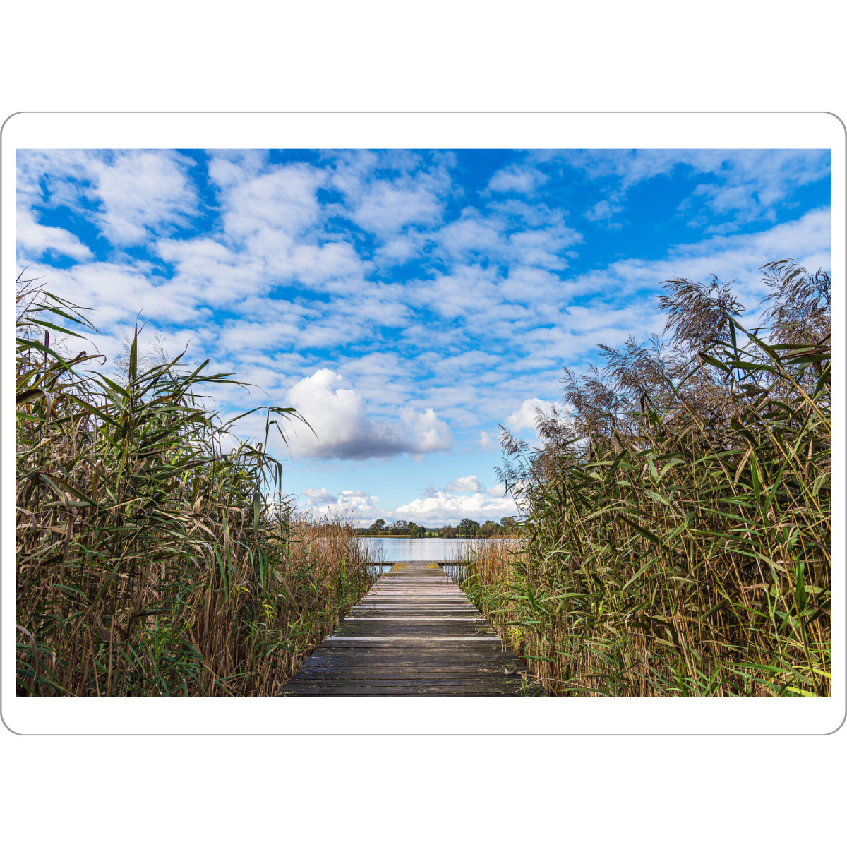 Tischset "Krakower See mit Schilf und Steg" artboxONE - Natur,Reise