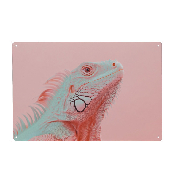 Metall Poster "Pink Leguan Porträt" artboxONE - Natur,Tiere,Reise / Länder