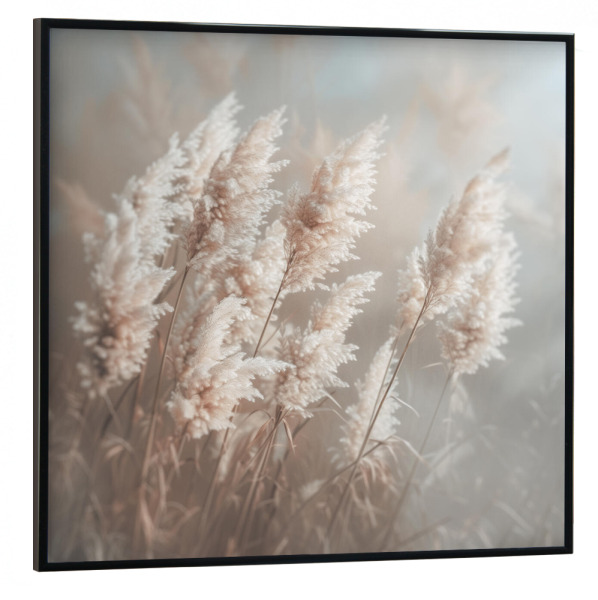 Poster mit schwarzem Rahmen 30x30 cm "Pampasgras-Träume" artboxONE - Natur,Floral