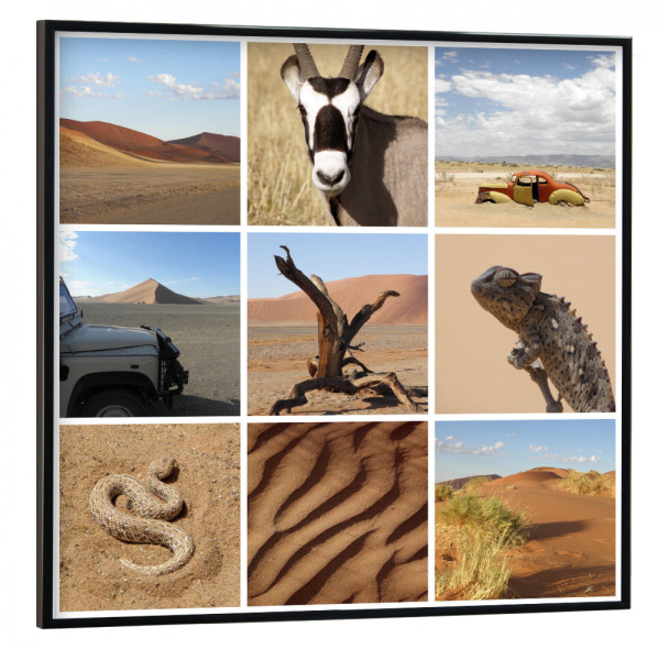 Poster mit schwarzem Rahmen 30x30 cm "Namibia Collage" artboxONE - Natur,Reise,Tiere,Reise / Afrika,Reise / Länder