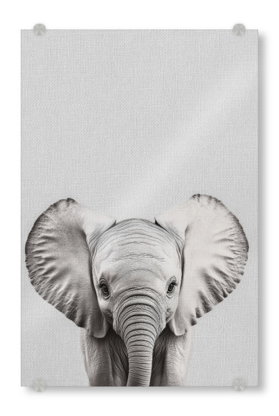 Acrylglasbild "Lili Niedlicher Elefantenbaby" artboxONE - Für Kinder,Tiere,Lustig