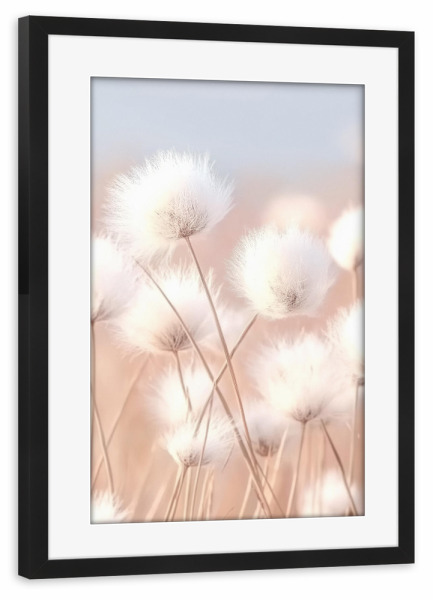 Poster mit Rahmen schwarz "Flauschiges Baumwollgras" artboxONE - Natur,Floral - Baumwollgras,Floral,Natur,Strand,Reise,Strandgras,Gras