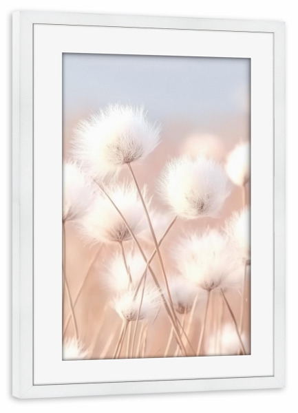 Poster mit Rahmen weiß "Flauschiges Baumwollgras" artboxONE - Natur,Floral - Baumwollgras,Floral,Natur,Strand,Reise,Strandgras,Gras