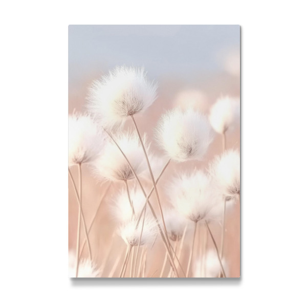 Galerie-Print "Flauschiges Baumwollgras" 75x50 cm artboxONE