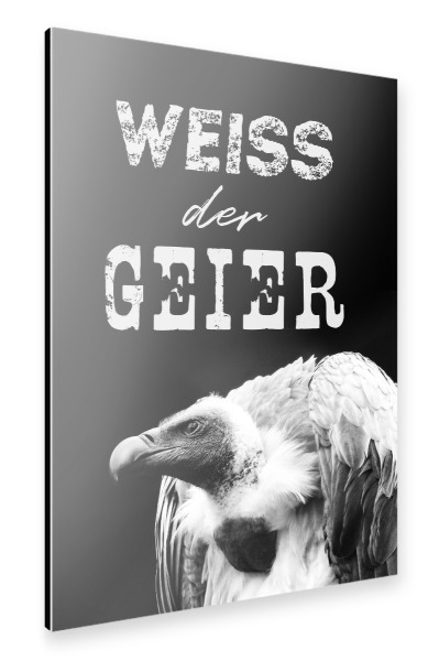 Alu-Dibond "Weiß der Geier" 75x50 cm artboxONE