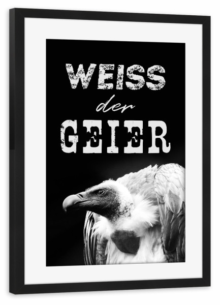 Poster mit Rahmen schwarz "Weiß der Geier" artboxONE - Typografie,Tiere,Schwarzweiß,Lustig