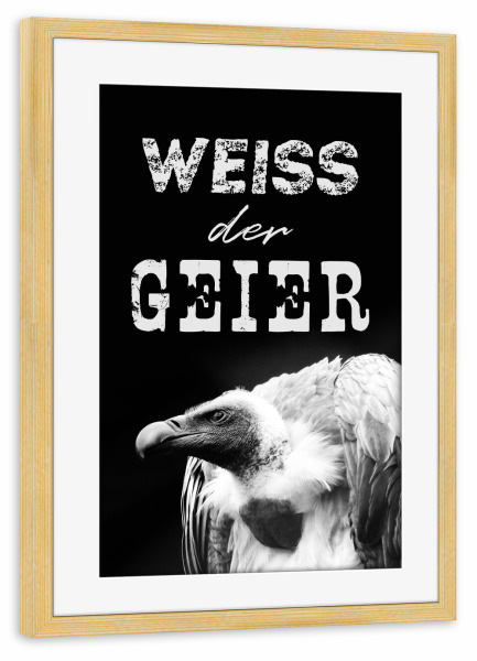 Poster mit Rahmen kiefer "Weiß der Geier" artboxONE - Typografie,Tiere,Schwarzweiß,Lustig