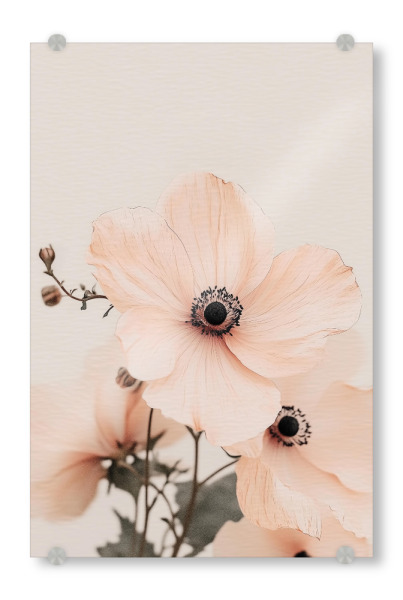 Acrylglasbild "Zarte Mohnblumen" artboxONE - Natur,Floral