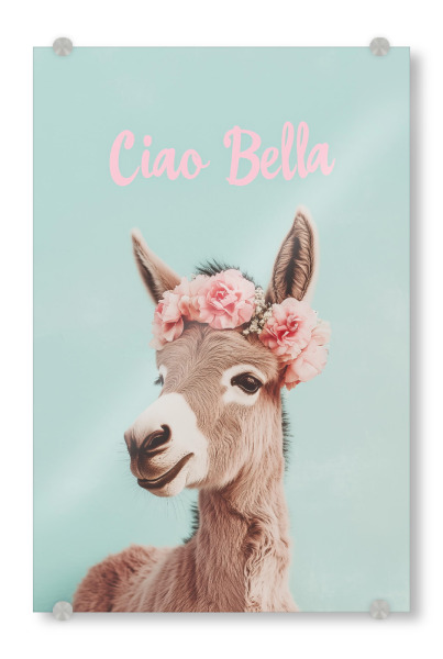Acrylglasbild "Ciao Bella" niedlicher Esel" artboxONE - Typografie,Floral,Tiere