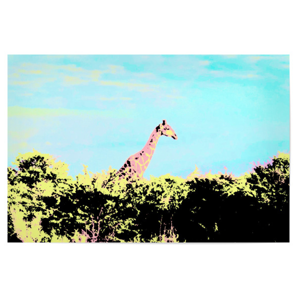 Poster 30x20 cm "Pop-Art-Giraffe" artboxONE - Natur,Reise,Tiere,Reise / Afrika,Reise / Länder