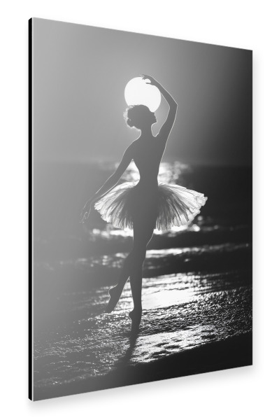 Alu-Dibond "Ballett im Mondlicht" 30x20 cm artboxONE