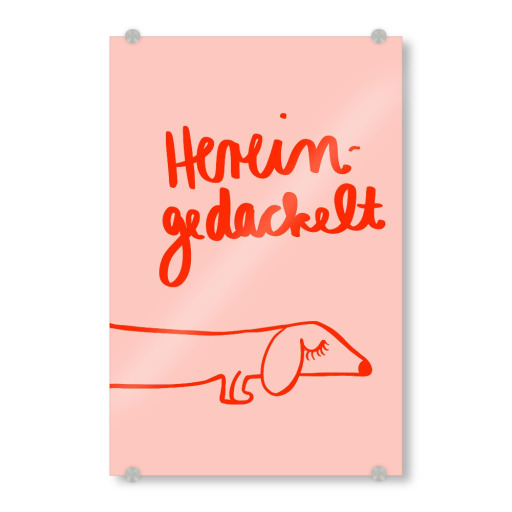 Hereingedackelt
