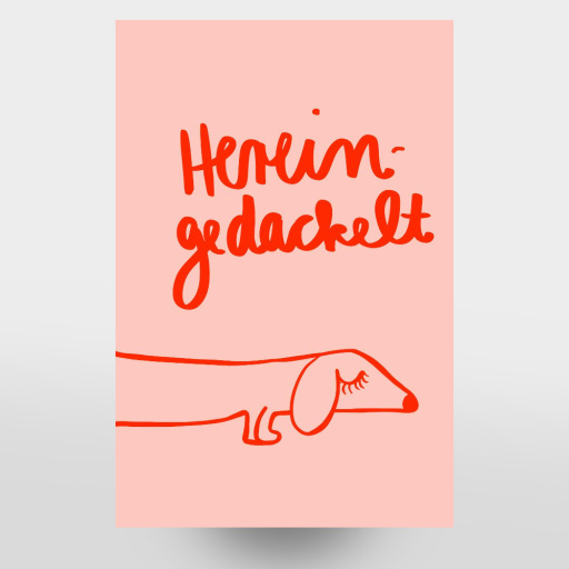 Hereingedackelt