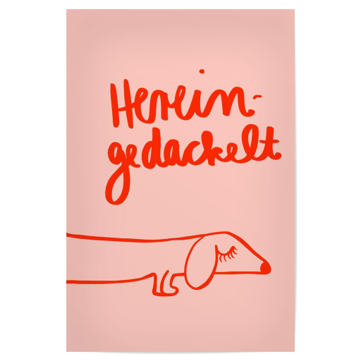 Hereingedackelt