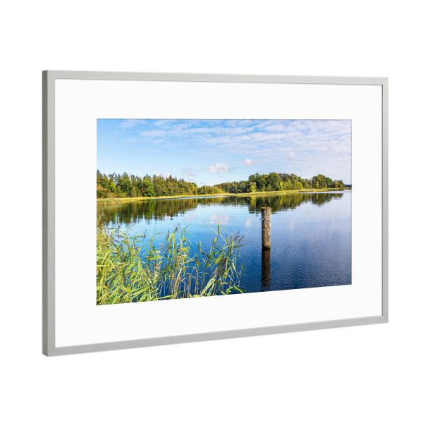 Poster mit Rahmen Silber "Dalben im Krakower See" artboxONE - Natur,Reise