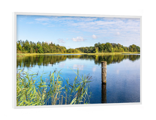 Poster mit weißem Rahmen "Dalben im Krakower See" artboxONE - Natur,Reise