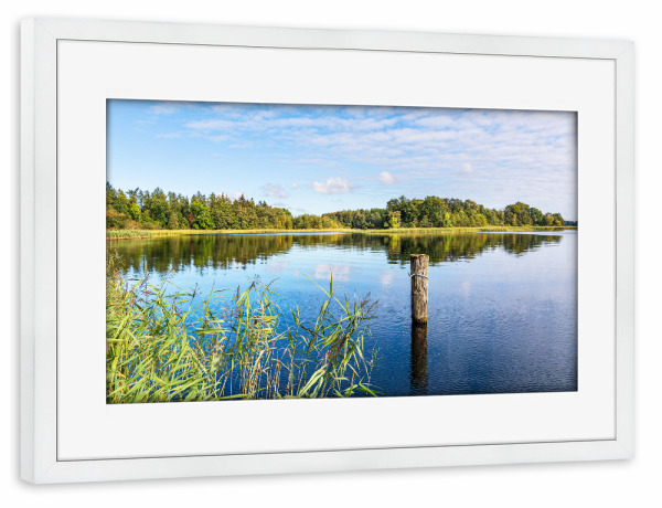 Poster mit Rahmen weiß "Dalben im Krakower See" artboxONE - Natur,Reise