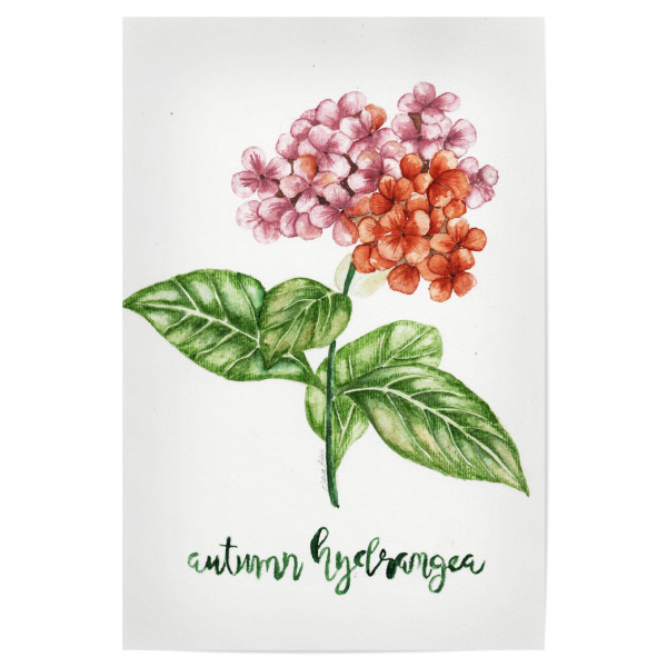 Poster "Autumn hydrangea" artboxONE - Natur,Floral - Kastanien,Chestnut,Botanic,Nature