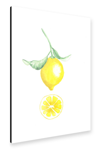Alu-Dibond "Citrus" 30x20 cm artboxONE