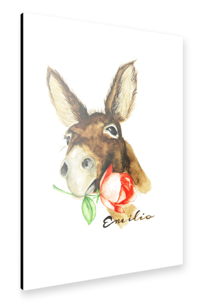 Alu-Dibond "Esel Emilio, Enricos Freund" 30x20 cm artboxONE