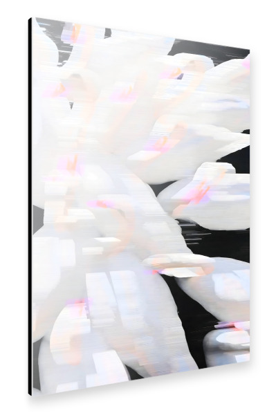 Alu-Dibond "Entenpond -Dunst" 75x50 cm artboxONE