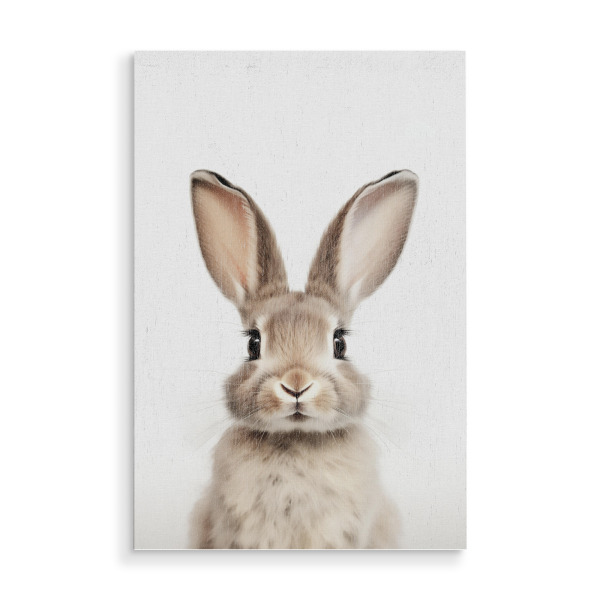 Holzbild "Charly Niedlicher Hase" artboxONE - Natur,Für Kinder,Tiere
