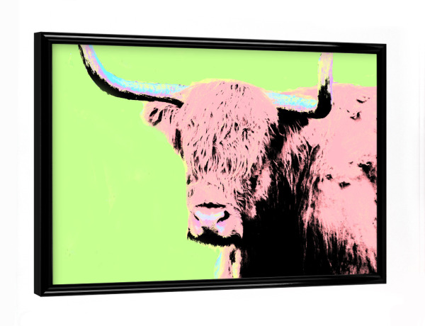 Poster mit schwarzem Rahmen "Hochlandrind popart" artboxONE - Tiere