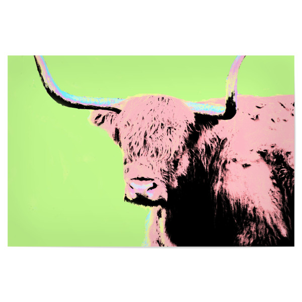 Poster "Hochlandrind popart" artboxONE - Tiere