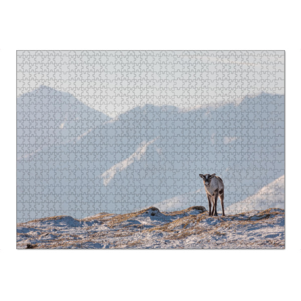 Puzzle Ravensburger "Junges Rentier in der Natur" artboxONE - Natur,Tiere - Rentiere,Naturfoto,Norwegen,Skandinavien,Tierfotografie,Winter,Schnee