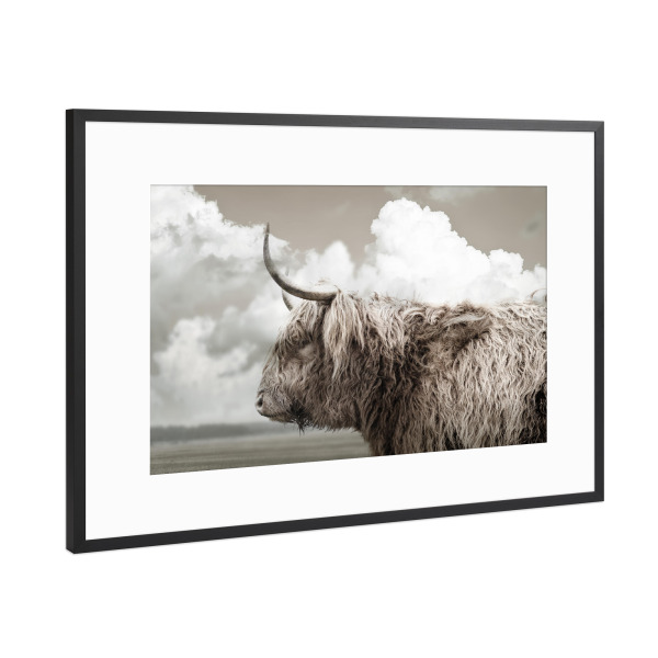 Poster mit Rahmen Schwarz (Metallic) "Highland View" artboxONE - Natur,Tiere - Highland,Highland cow,Wolken,Natur