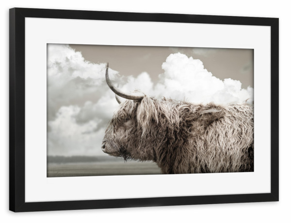 Poster mit Rahmen schwarz "Highland View" artboxONE - Natur,Tiere - Highland,Highland cow,Wolken,Natur