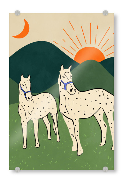 Acrylglasbild "Pferde des Hochlands" artboxONE - Tiere