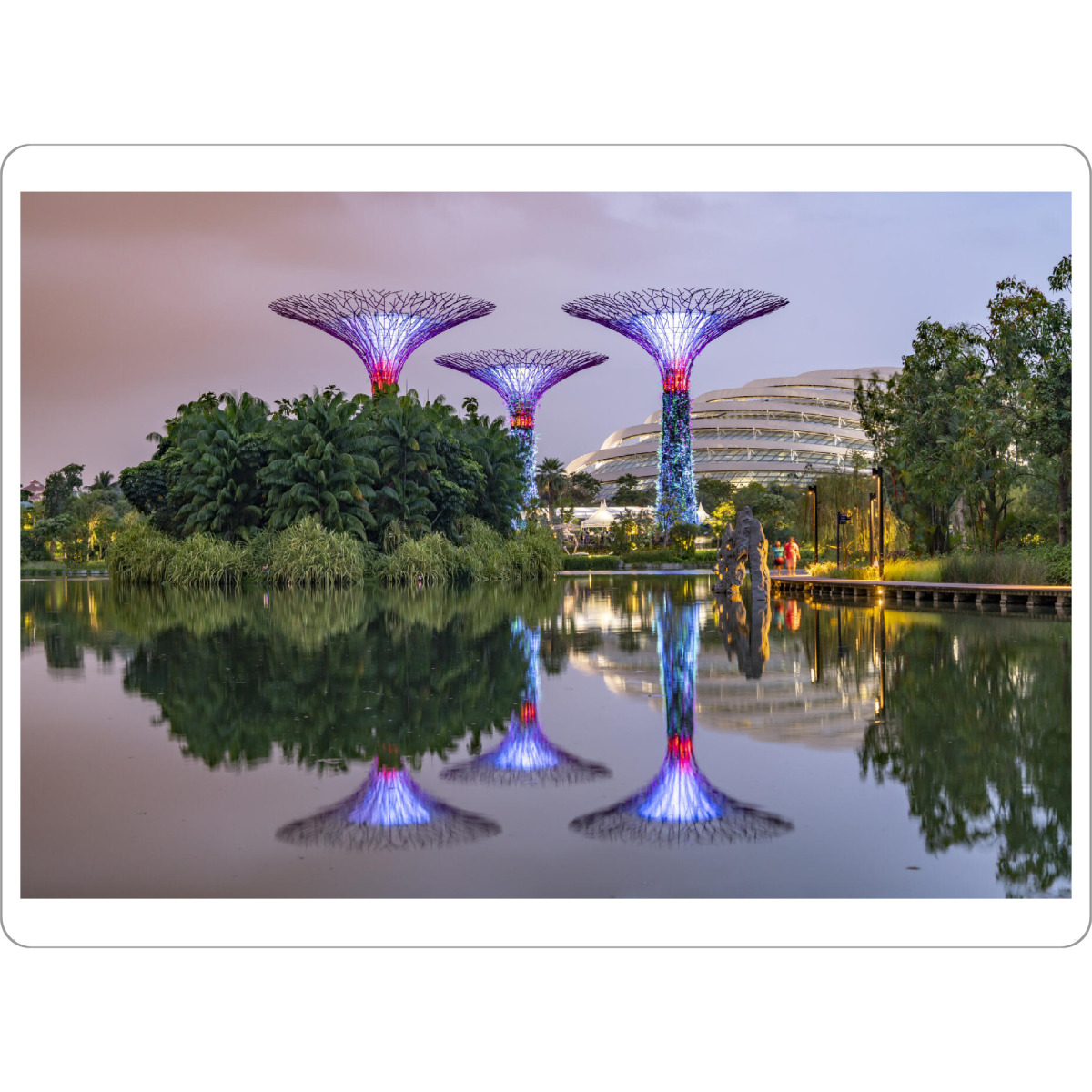 Tischset "Singapur Super Trees" artboxONE - Reise / Asien,Städte / Singapur - Singapur,Super trees,Gardens by the bay,Nachts,Mammutbäume,Asien