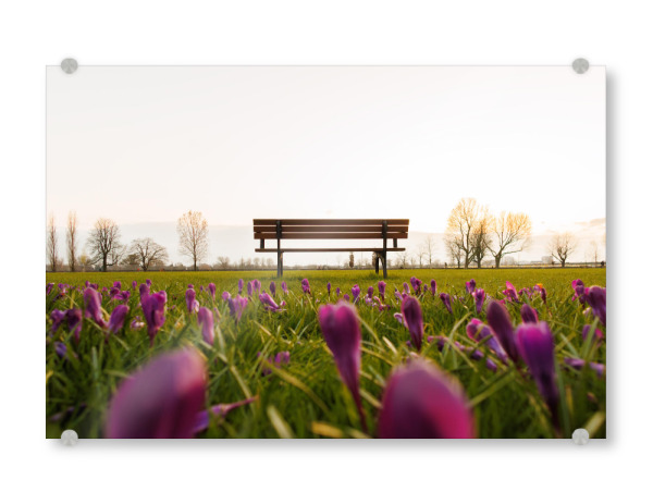 Acrylglasbild "Das Blaue Band in Düsseldorf" artboxONE - Natur,Städte / Düsseldorf