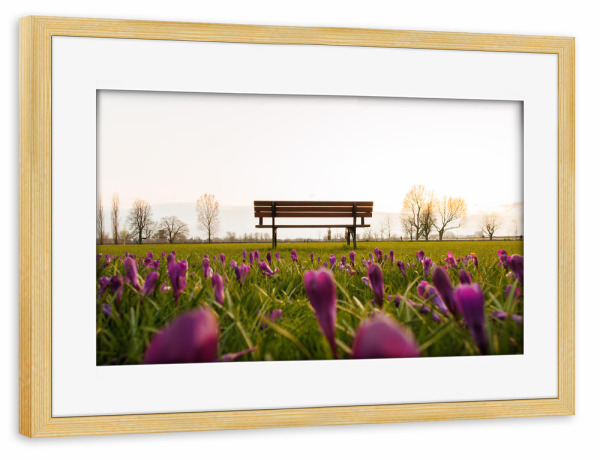 Poster mit Rahmen kiefer "Das Blaue Band in Düsseldorf" artboxONE - Natur,Städte / Düsseldorf