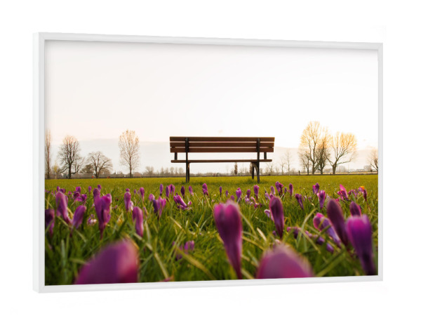 Poster mit weißem Rahmen "Das Blaue Band in Düsseldorf" artboxONE - Natur,Städte / Düsseldorf