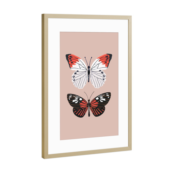 Poster mit Rahmen Gold "Exotische Schmetterlinge auf Pink" artboxONE - Tiere