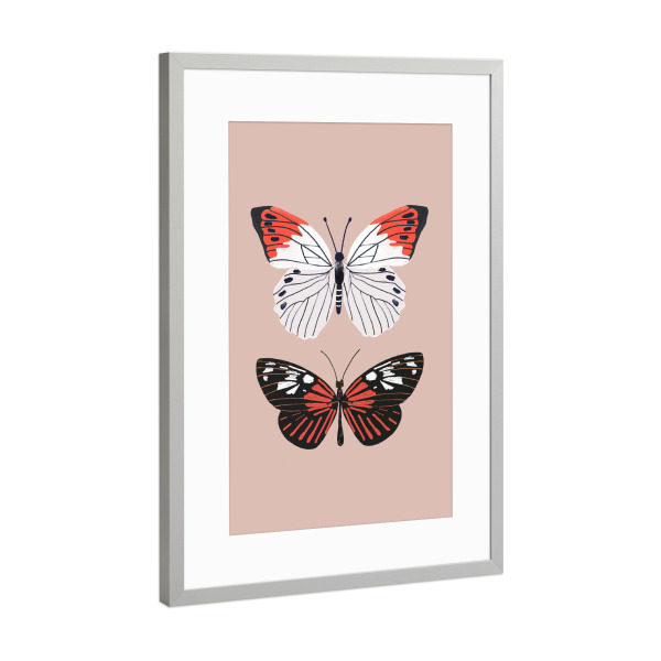Poster mit Rahmen Silber "Exotische Schmetterlinge auf Pink" artboxONE - Tiere
