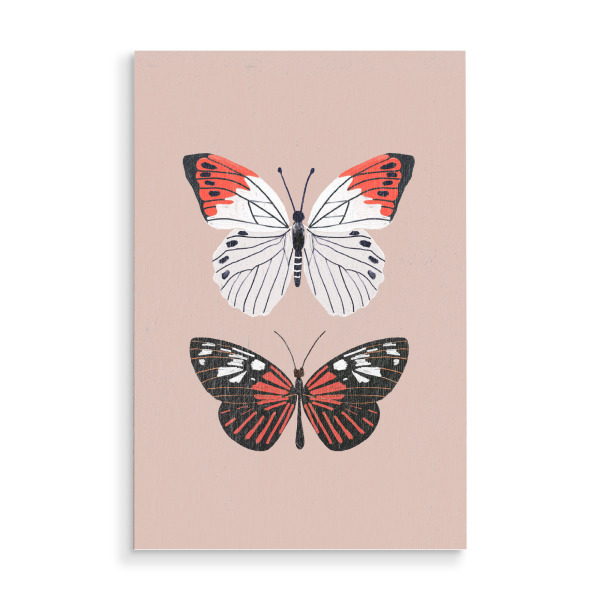 Holzbild "Exotische Schmetterlinge auf Pink" artboxONE - Tiere