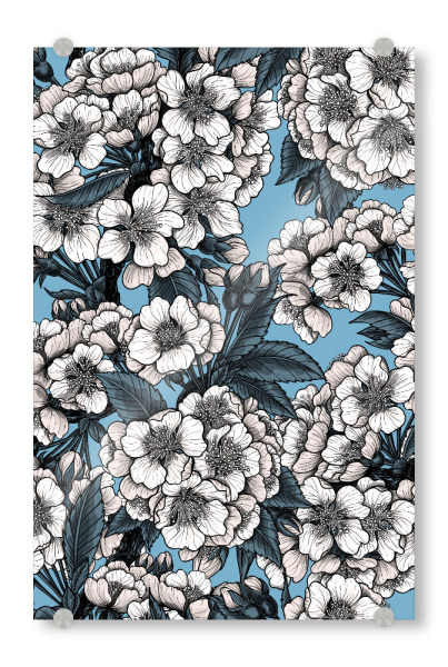 Acrylglasbild "Kirschblüte e" artboxONE - Natur,Floral