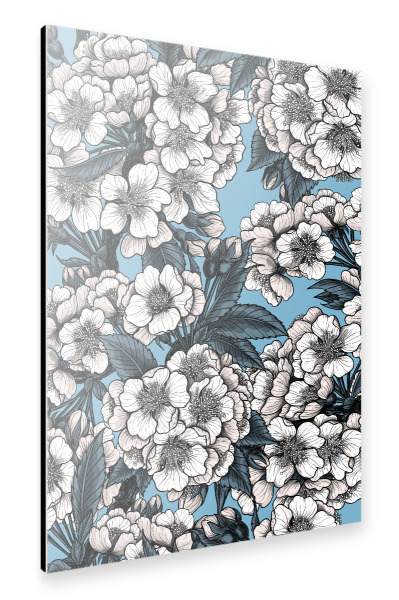 Alu-Dibond "Kirschblüte e" 75x50 cm artboxONE