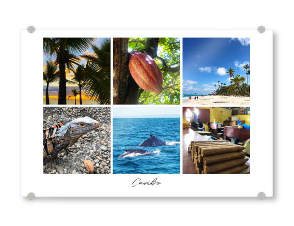 Acrylglasbild "The Caribbean" artboxONE - Natur,Reise,Tiere,Reise / Strand und Meer,Reise / Länder