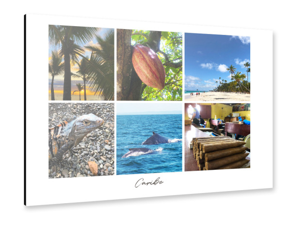 Alu-Dibond "The Caribbean" 75x50 cm artboxONE