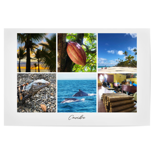Poster 30x20 cm "The Caribbean" artboxONE - Natur,Reise,Tiere,Reise / Strand und Meer,Reise / Länder