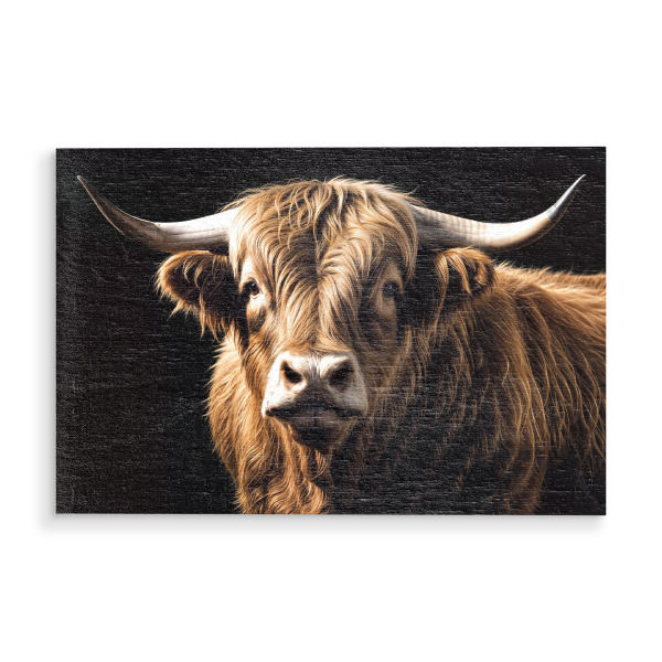 Holzbild "Ein Highland Bull" artboxONE - Tiere - Bulle,Highland,Highland cow