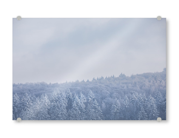 Acrylglasbild "Kristallwald" artboxONE - Natur - Wald,Bäume,Nadelbäume,Schnee,Winter,Siebengebirge,Landschaftsfoto