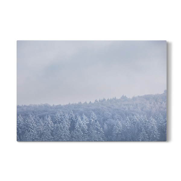 Galerie-Print "Kristallwald" 75x50 cm artboxONE