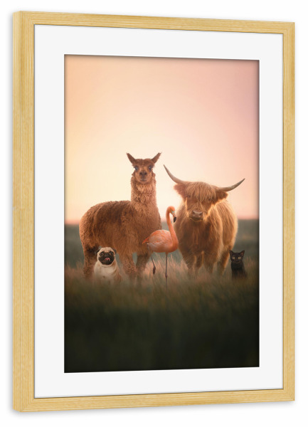 Poster mit Rahmen kiefer "Berühmteste Bande" artboxONE - Tiere,Lustig - Tiere,Lama,Kuh,Mops,Flamingo,Katze,Lustig,Humor