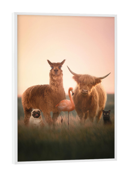 Poster mit weißem Rahmen "Berühmteste Bande" artboxONE - Tiere,Lustig - Tiere,Lama,Kuh,Mops,Flamingo,Katze,Lustig,Humor